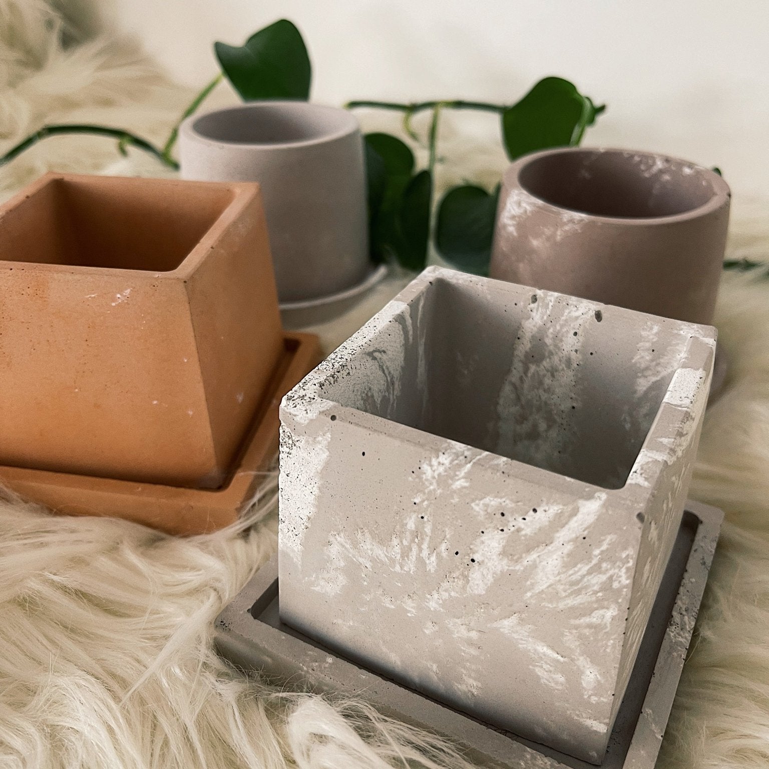 Peachi Pots | Handmade Concrete Pots - PEACHI PLANTS