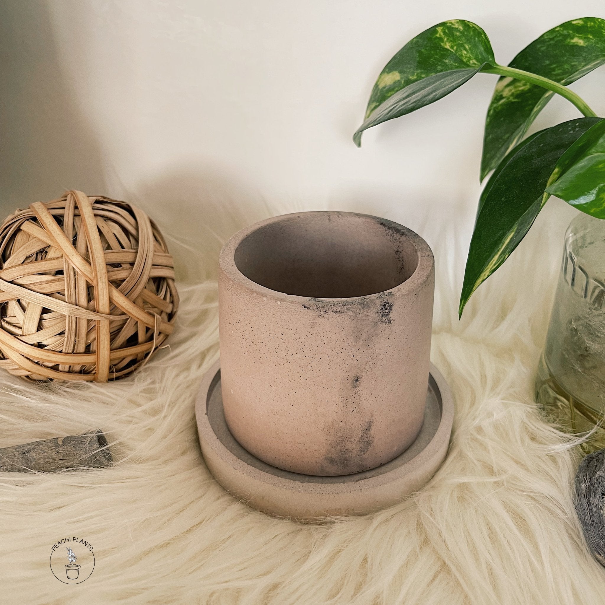 2.5 - Inch Round Concrete Pot, Blush Marble Slate - PEACHI PLANTS