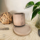 2.5 - Inch Round Concrete Pot, Blush Marble Slate - PEACHI PLANTS