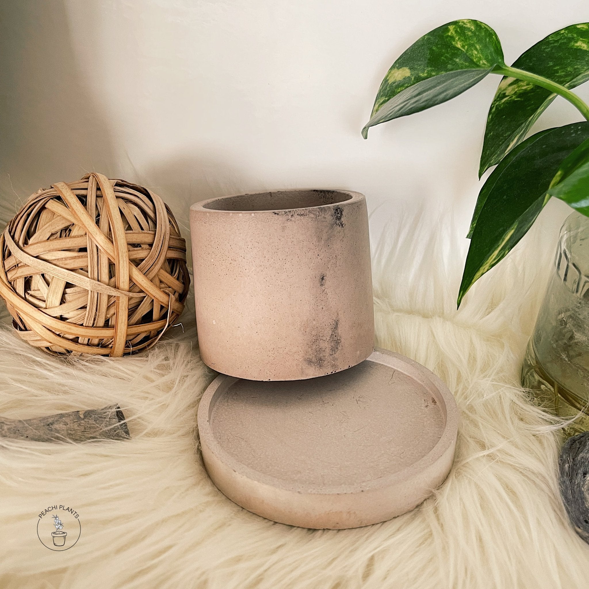 2.5 - Inch Round Concrete Pot, Blush Marble Slate - PEACHI PLANTS