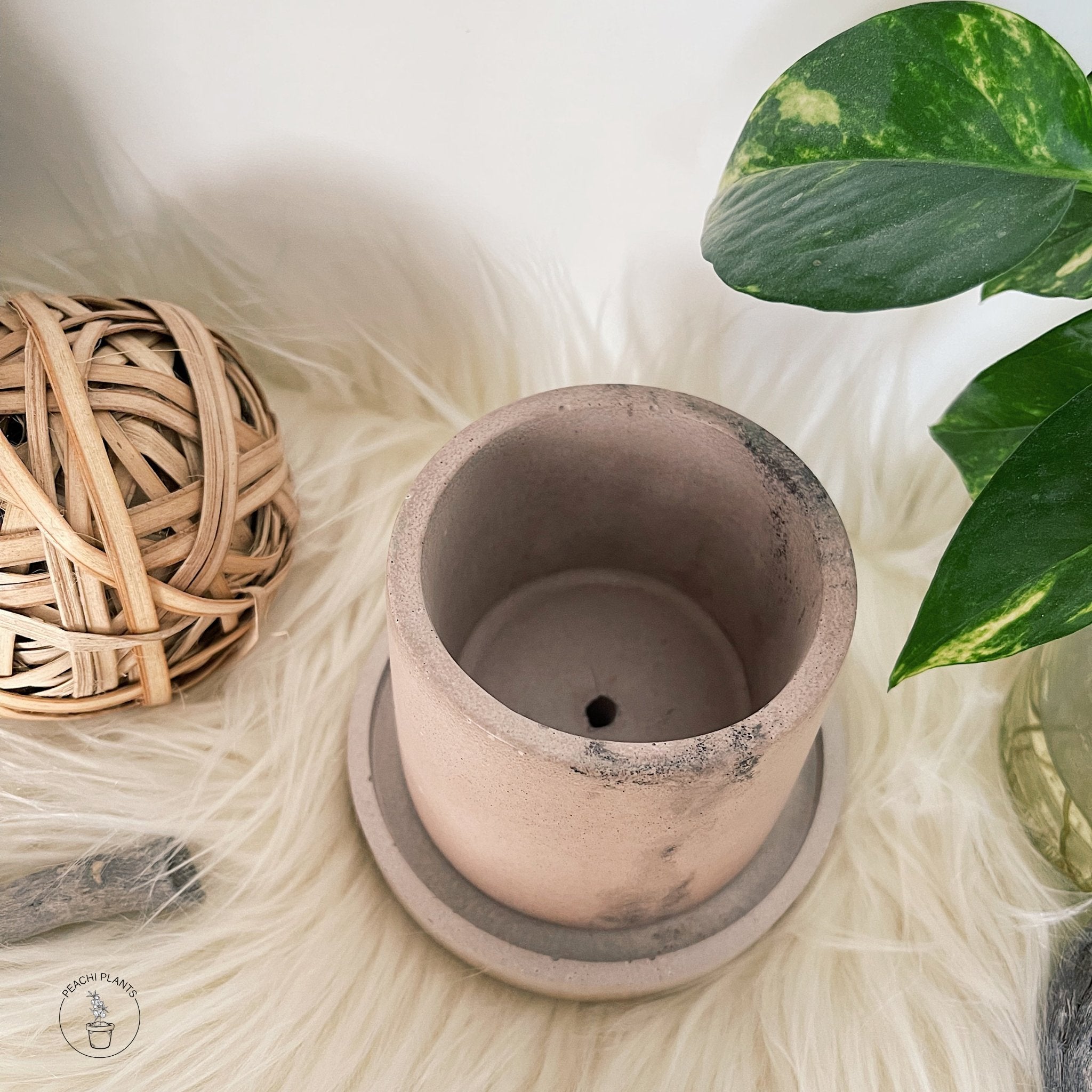 2.5 - Inch Round Concrete Pot, Blush Marble Slate - PEACHI PLANTS