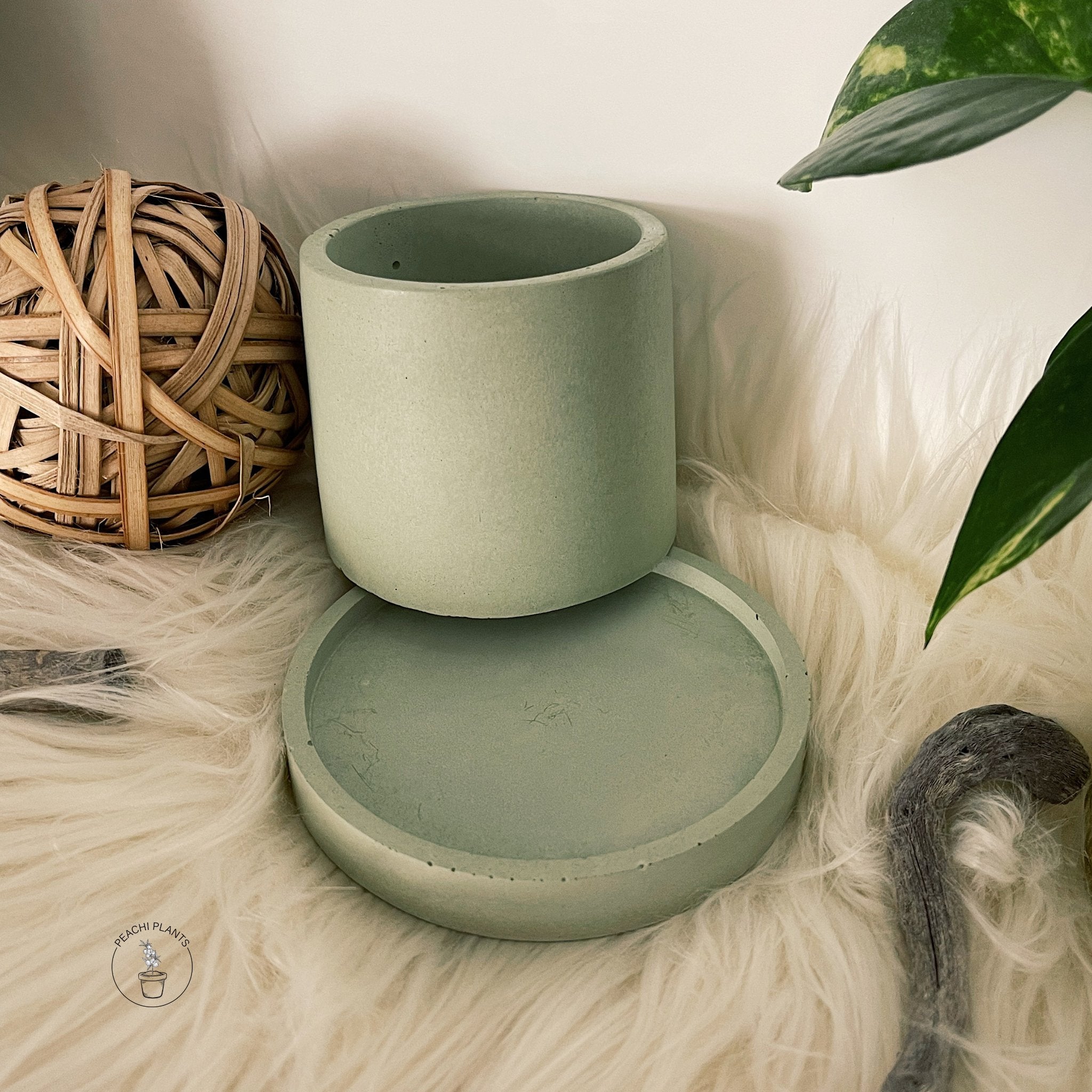 2.5 - Inch Round Concrete Pot, Soft Jade - PEACHI PLANTS