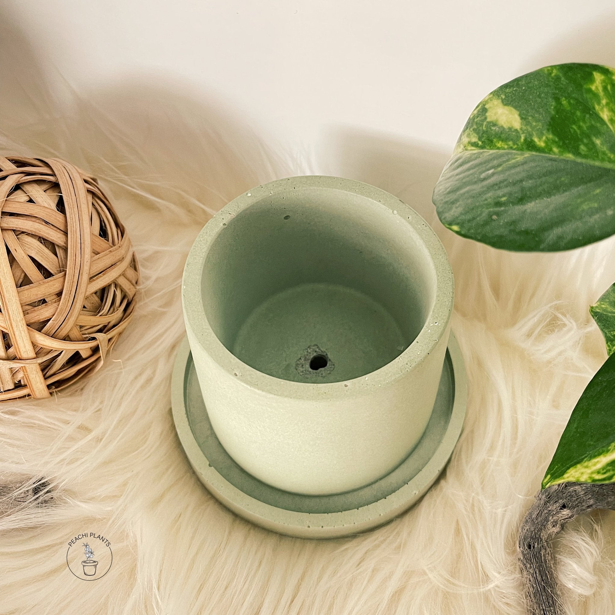 2.5 - Inch Round Concrete Pot, Soft Jade - PEACHI PLANTS