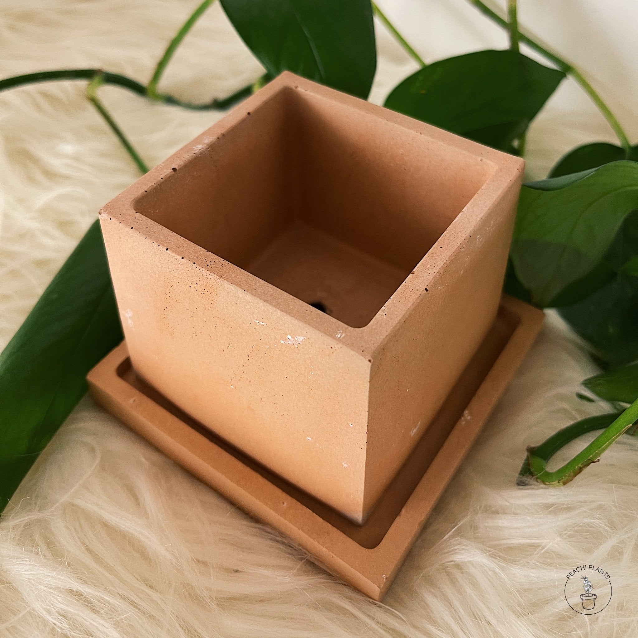3 - Inch Square Concrete Pot, Terracotta - PEACHI PLANTS