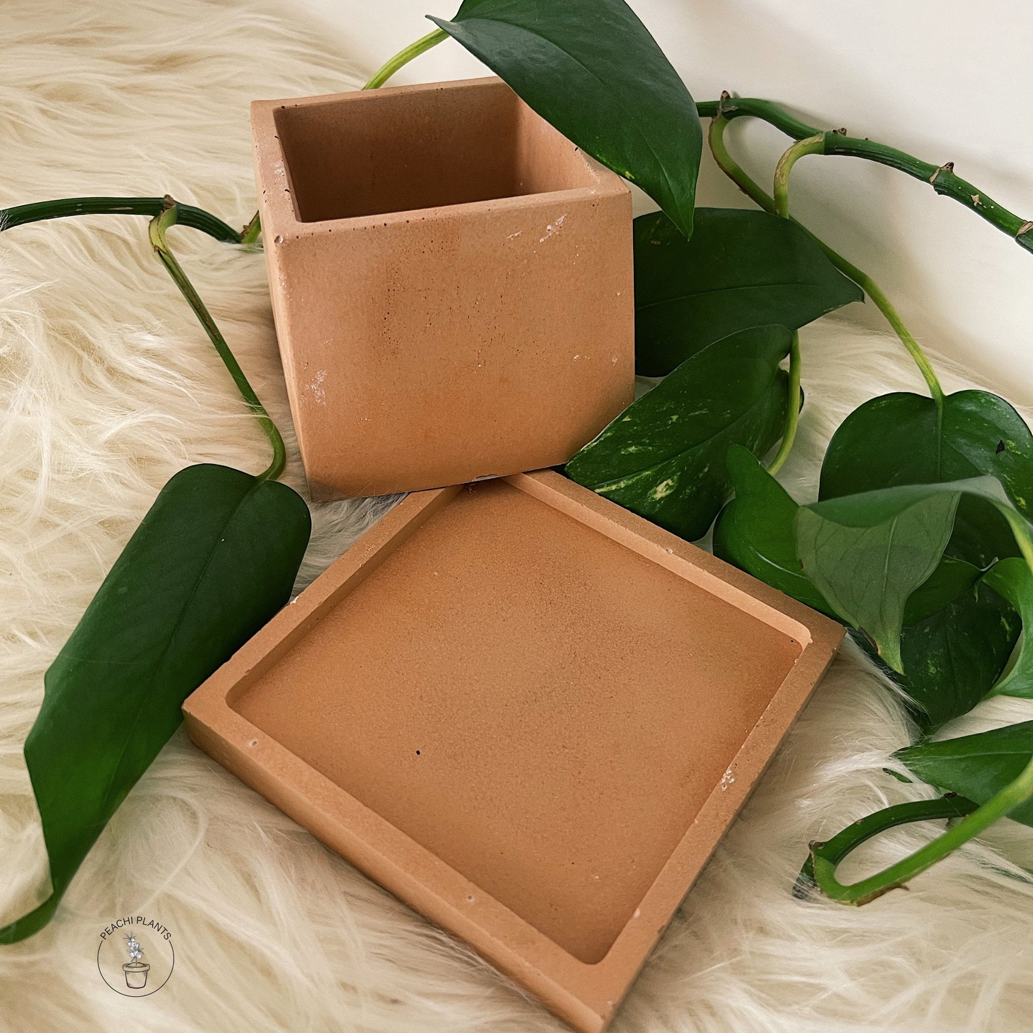 3 - Inch Square Concrete Pot, Terracotta - PEACHI PLANTS
