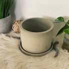 6 - Inch Round Concrete Pot, Olive - PEACHI PLANTS