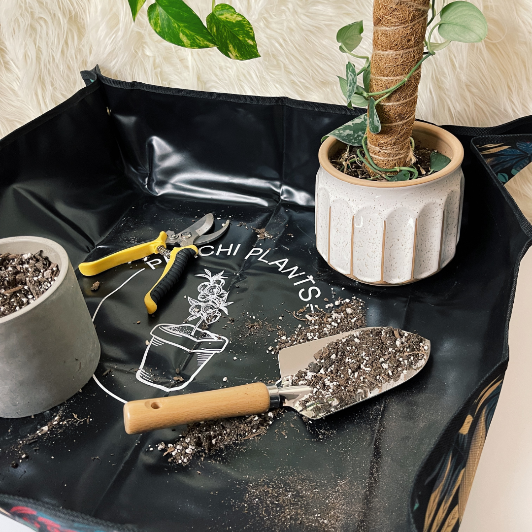 Mess Free Repotting