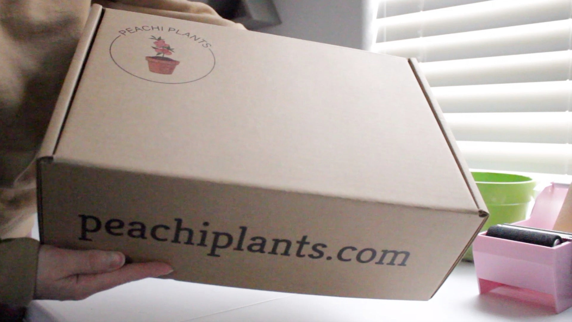 Pack a plant parent starter kit with us🌿