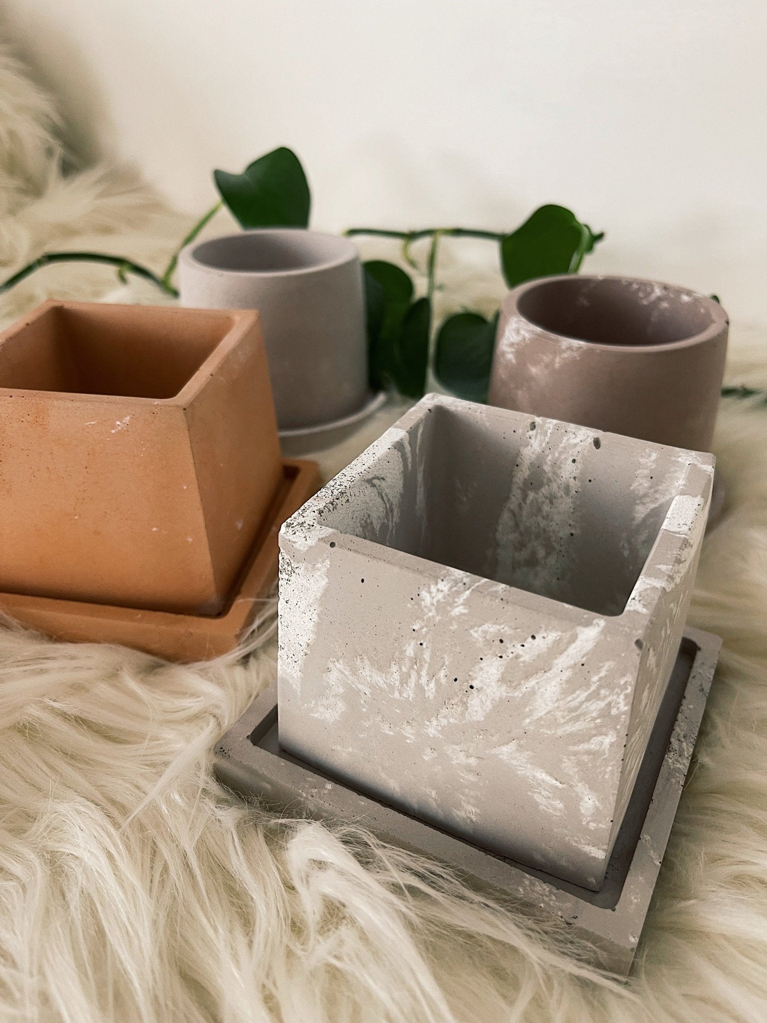 Peachi Pots | Handmade Concrete Pots - PEACHI PLANTS