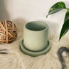 2.5 - Inch Round Concrete Pot, Soft Jade - PEACHI PLANTS