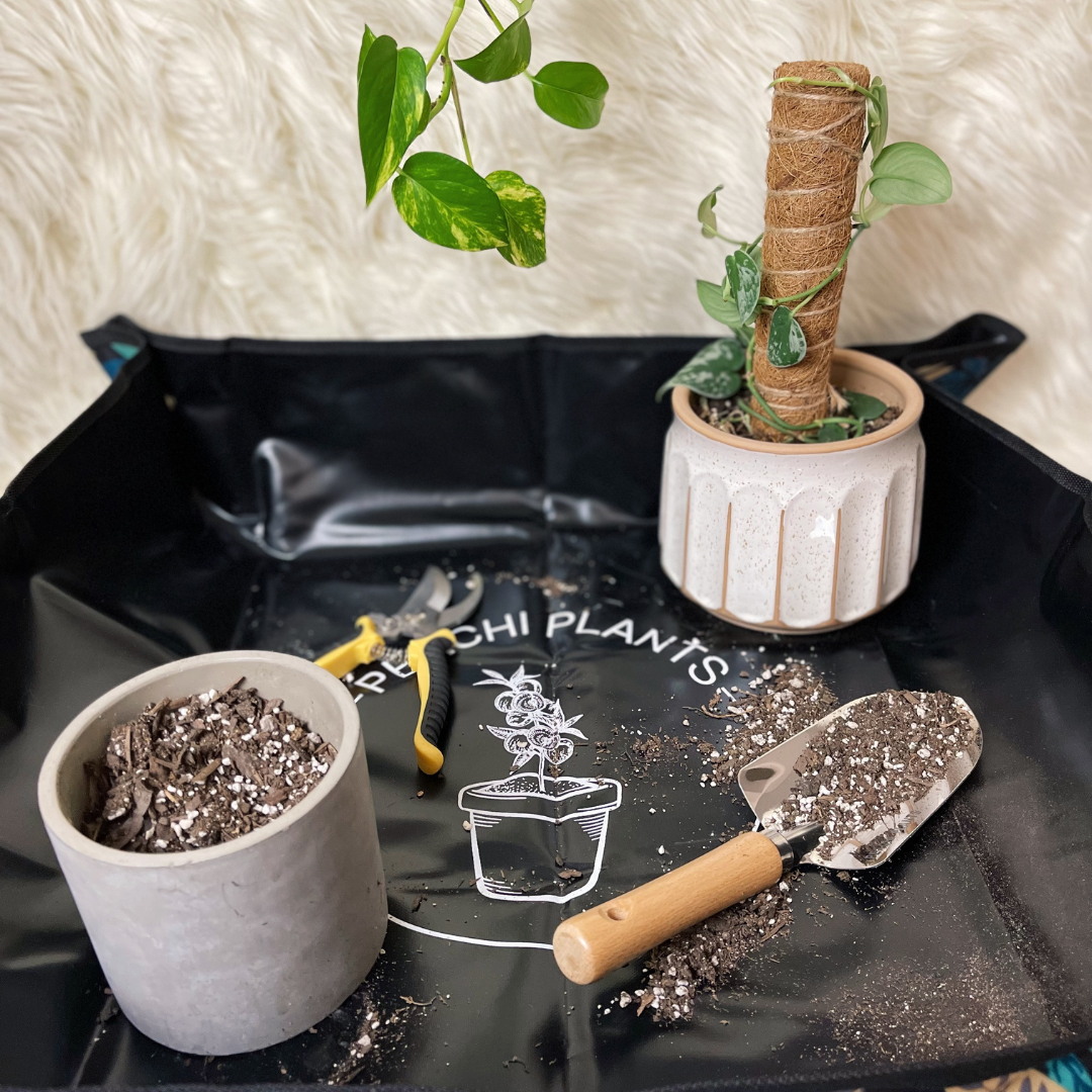 demo of potting mat for plants