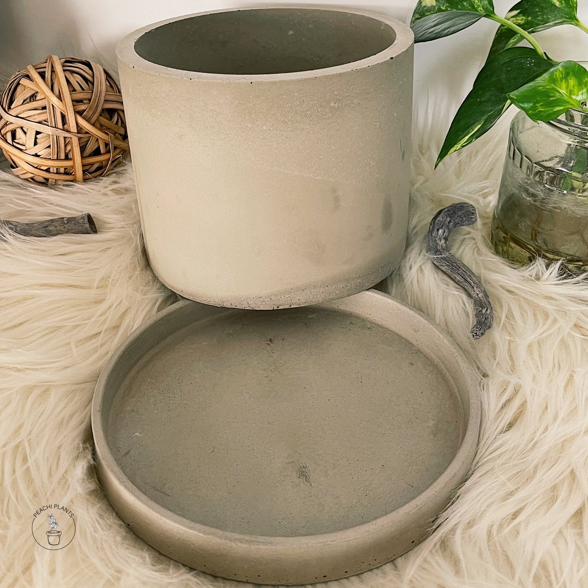 6 - Inch Round Concrete Pot, Olive - PEACHI PLANTS