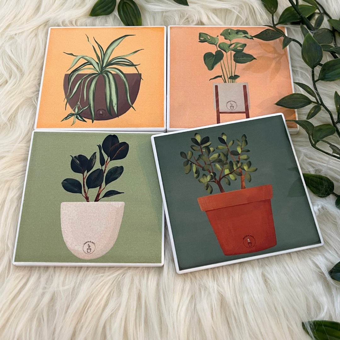 Ceramic Potted Plant Coasters - PEACHI PLANTS