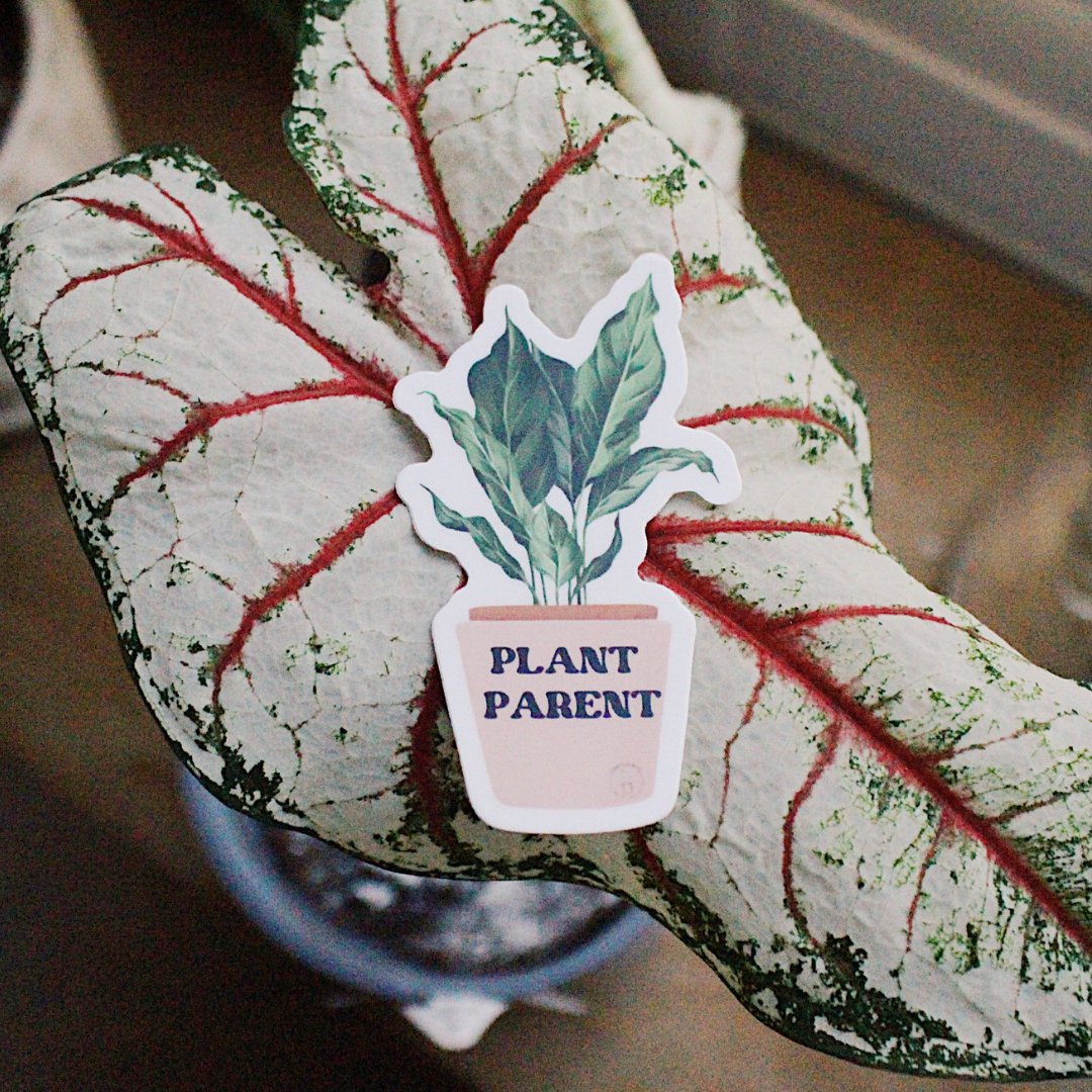 Plant Parent Peace Lily Sticker - PEACHI PLANTS